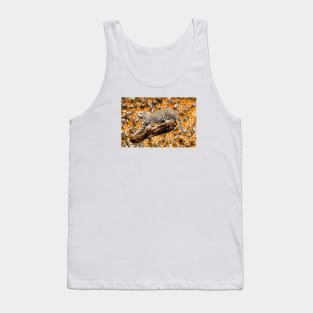 Jaguar in the beehive / Swiss Artwork Photography Tank Top